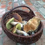 Domek letniskowy żurawia łąka *
