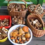 Domek letniskowy żurawia łąka