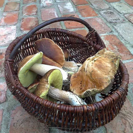 Jaktstuga Zurawia Laka *