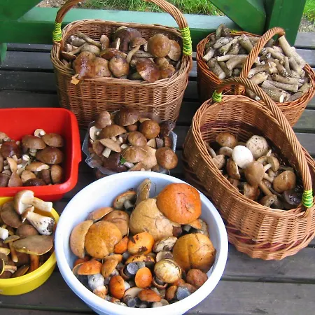 山林小屋 Zurawia Laka