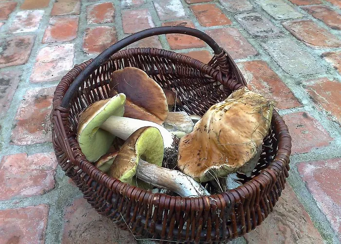 Деревянный коттедж Zurawia Laka *