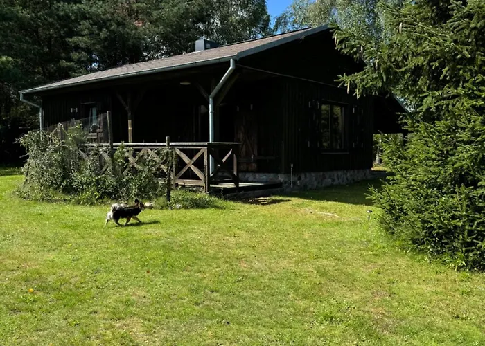 żurawia łąka * Bytów